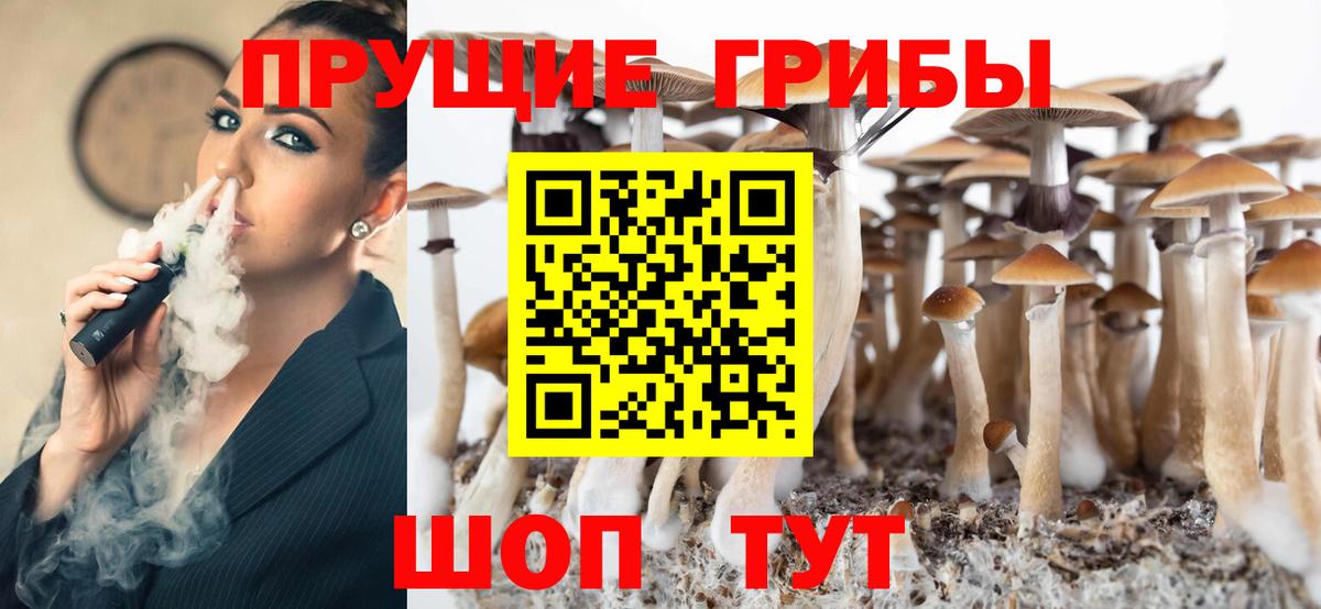 Псилоцибиновые грибы Psilocybine cubensis Сальск